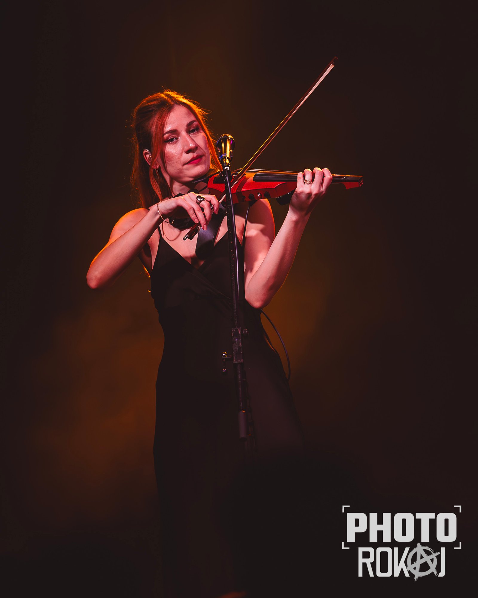 20241119-DSD_8184-Enhanced-NR.jpg