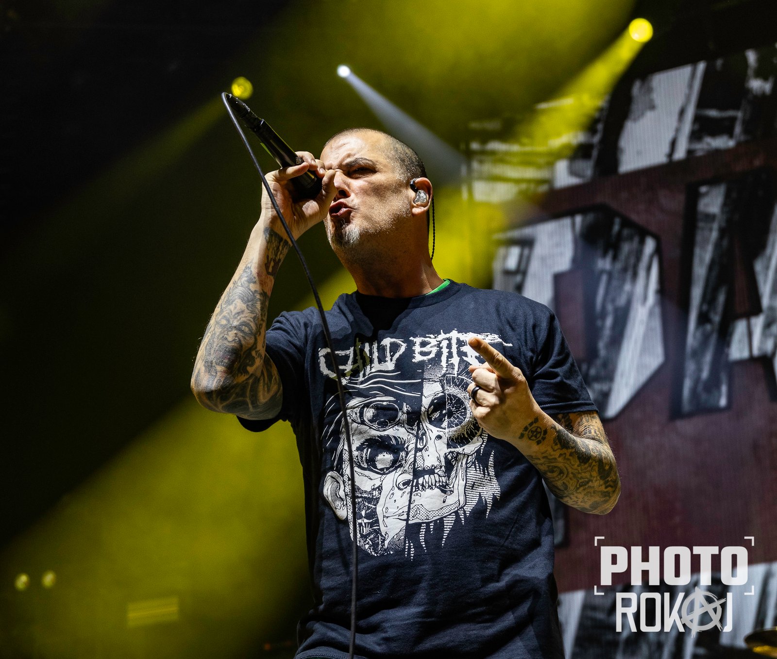 pantera-1-of-1-35.jpg
