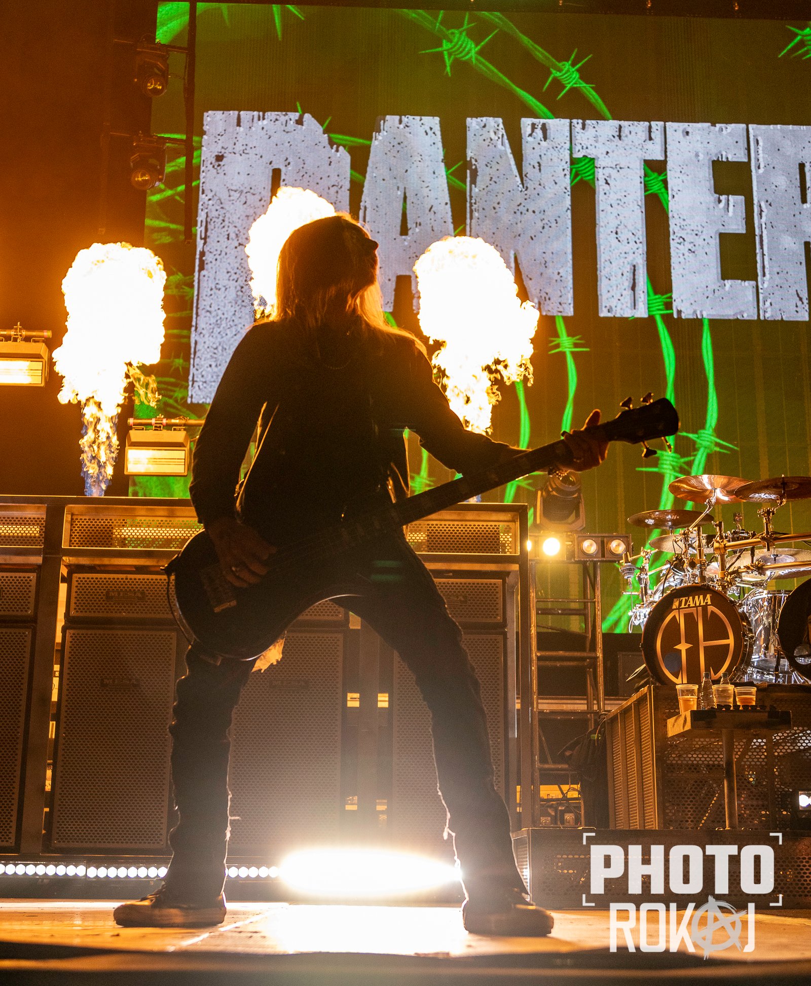 pantera-1-of-1-40.jpg