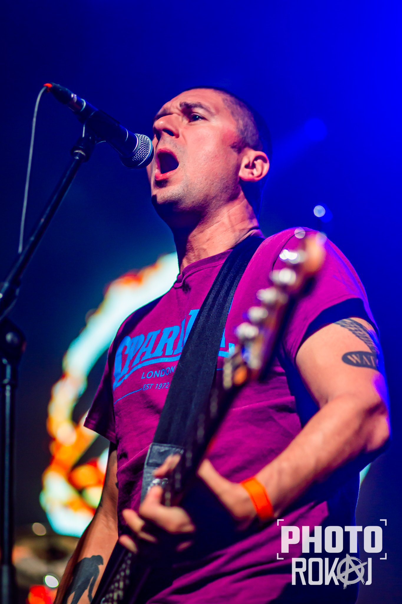Šank?! - Tvornica Kulture - Zagreb - 12.05.2025.