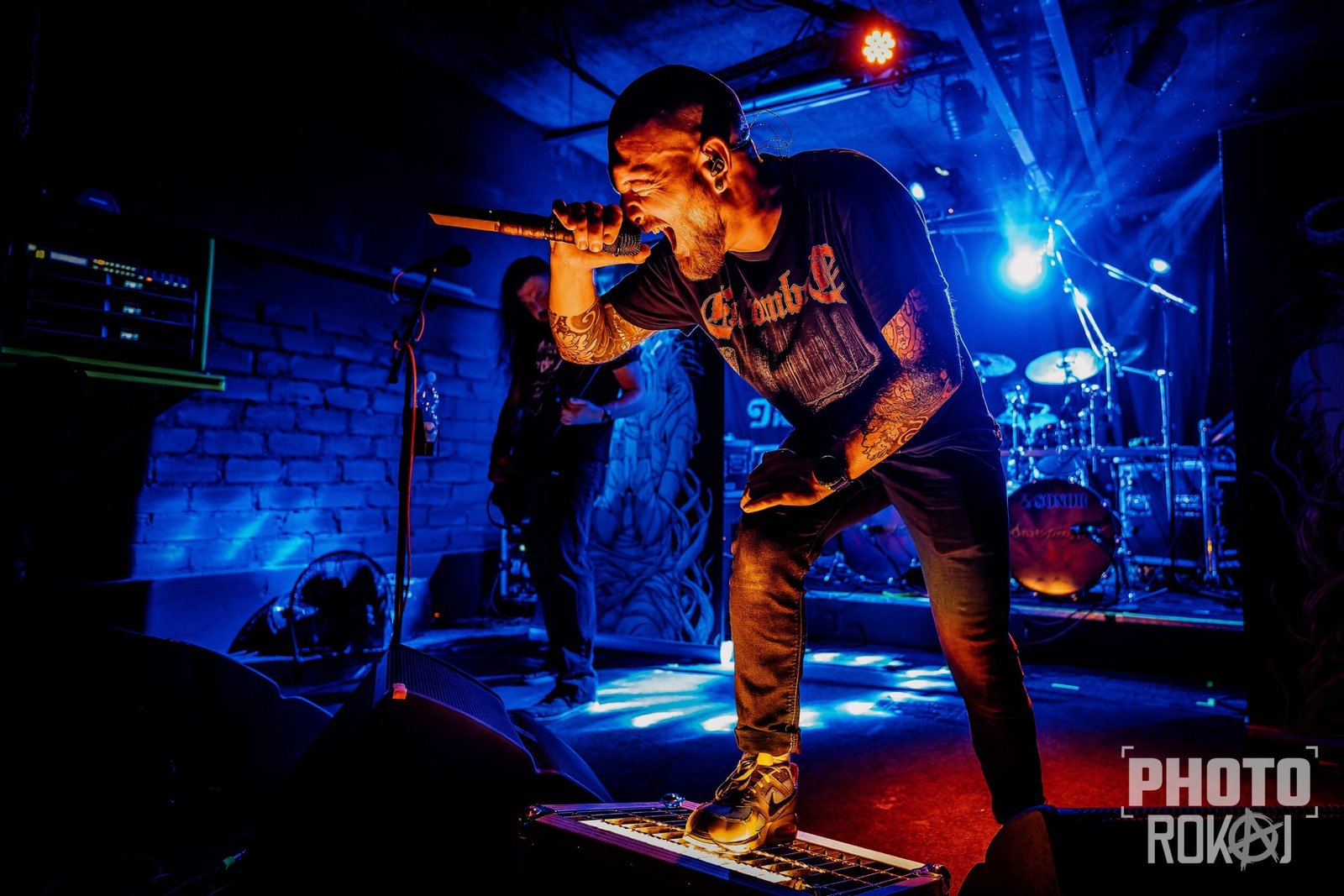 Reject_The_Sickness_2026-04-21_Davor_Birt_03-scaled.jpg